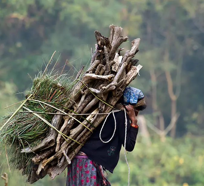 Nepalese villager carrying firewood and grass through a rural path near Kathmandu, Nepal.