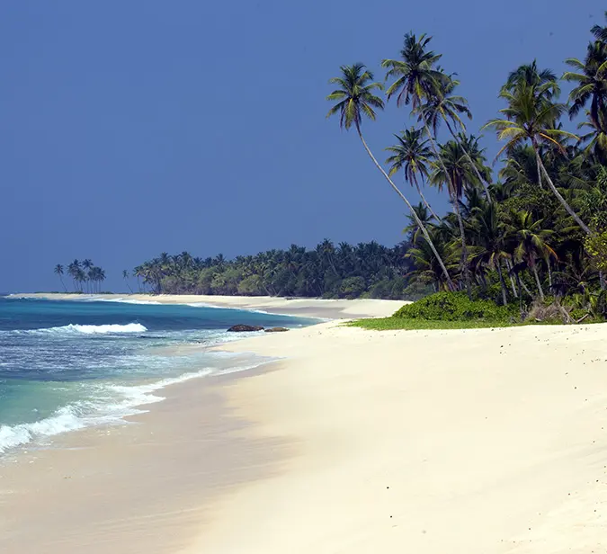 Quiet tropical beach with white sand and palm trees along Sri Lanka’s southern coast.