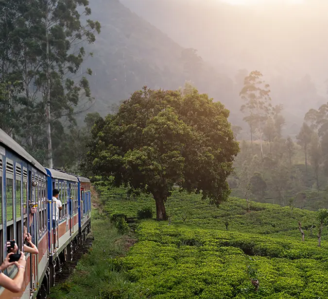 Train journey through lush tea plantations near Nuwara Eliya in Sri Lanka’s hilly countryside.