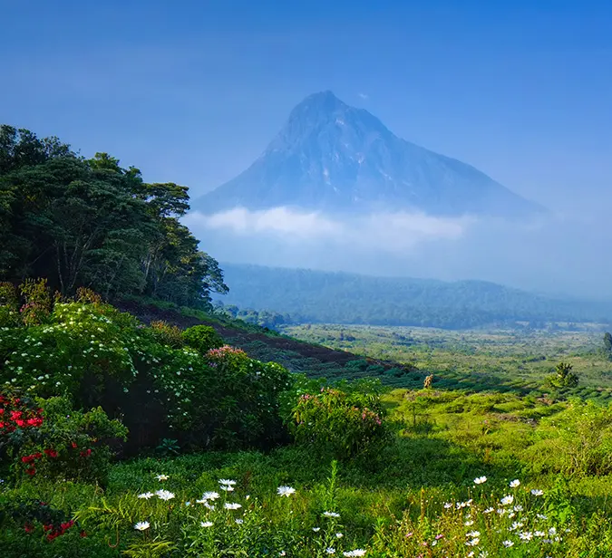 Misty volcano rises behind vibrant green meadows and wildflowers in Volcanoes National Park.