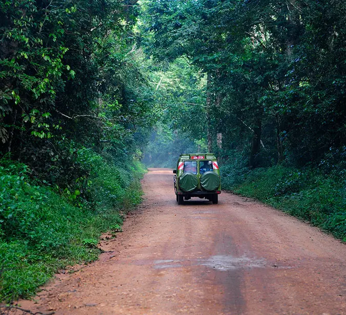 Safari vehicle driving through forested road in Queen Elizabeth National Park, Uganda.