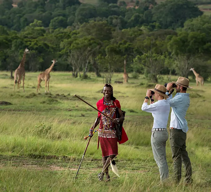 Maasai guide leads walking safari in Masai Mara as guests spot giraffes on the plains.