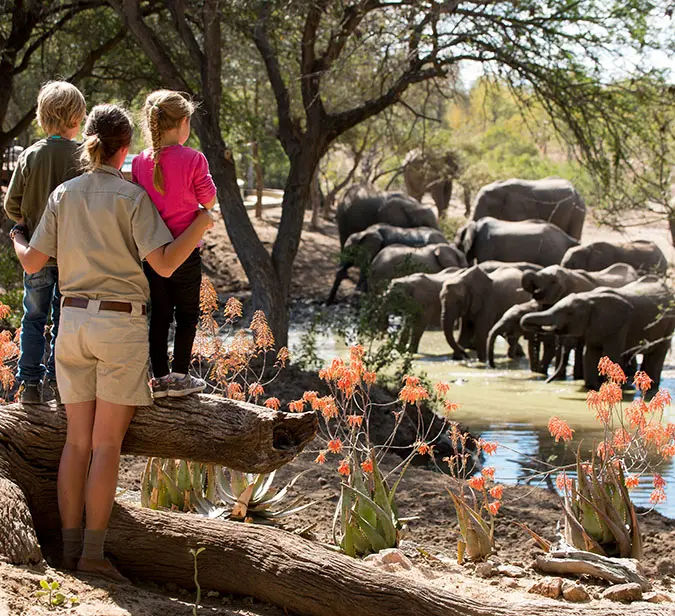 Ranger with kids watching a herd of elephants at a waterhole in Phinda Private Game Reserve.