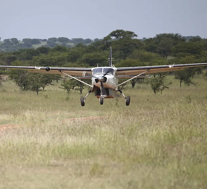 Small aircraft landing on grassy Nxabega airstrip surrounded by trees in the African wilderness.