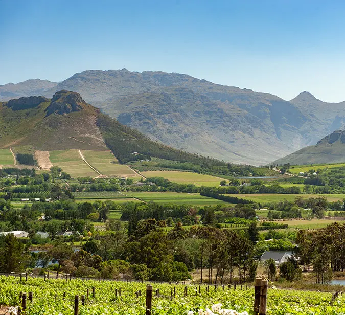 Scenic view of Cape Peninsula with vineyards and rugged mountain backdrop.