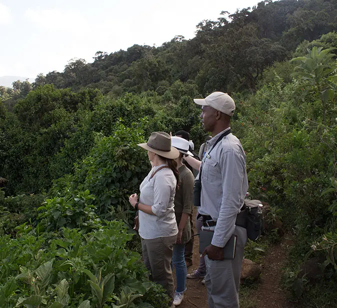 Guided walking safari through lush Hwange National Park vegetation.