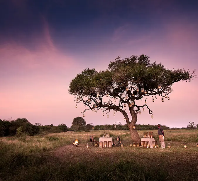 Private bushveld dining experience at dusk in Hwange National Park.
