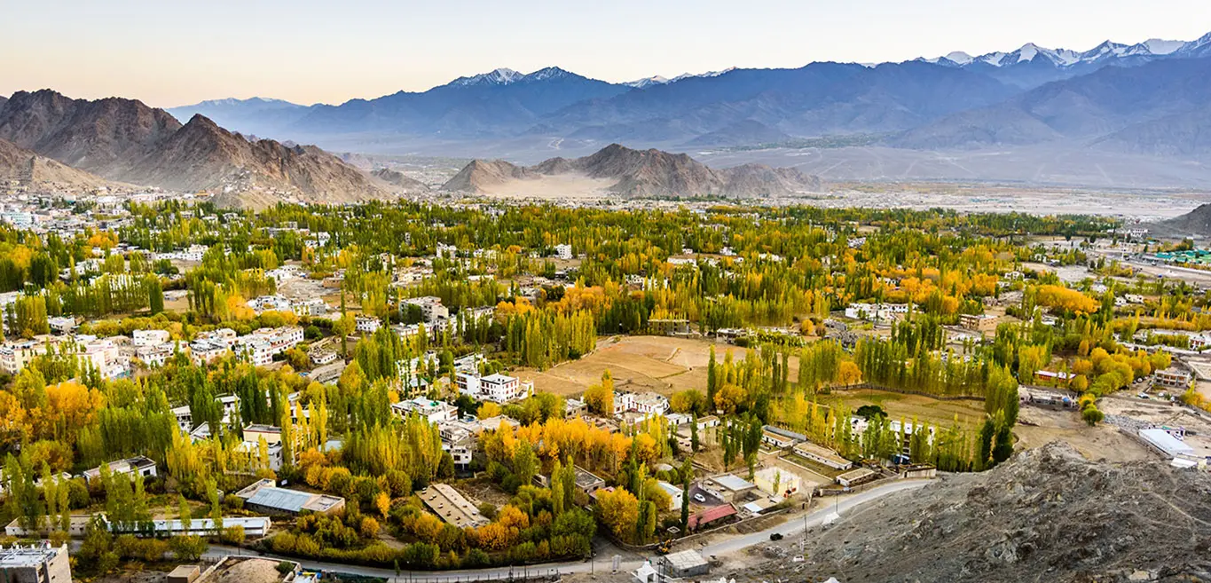 Sightseeing Tour of Leh